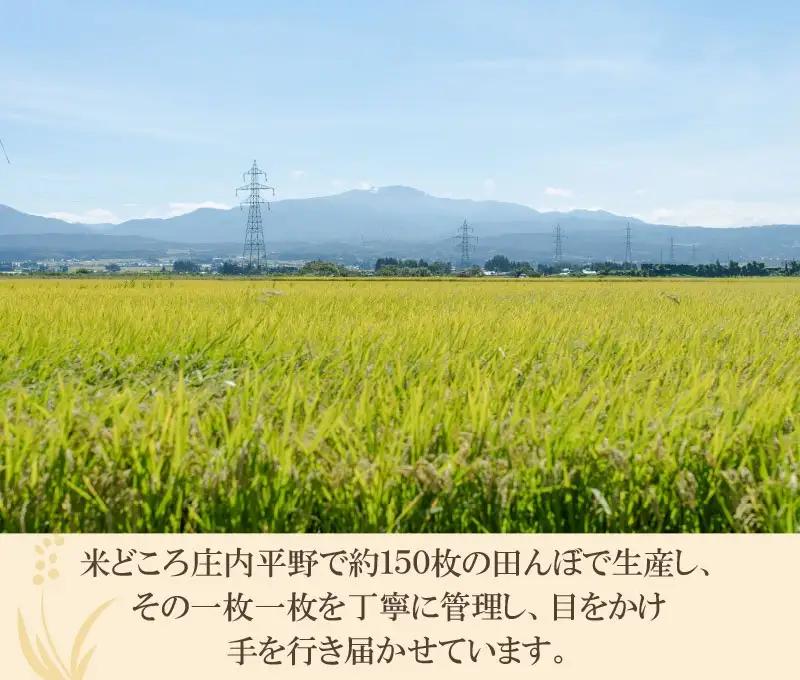 【令和7年産】 井上農場の特別栽培米 つや姫 無洗米 6kg（2㎏×3袋）　K-756　山形県鶴岡市