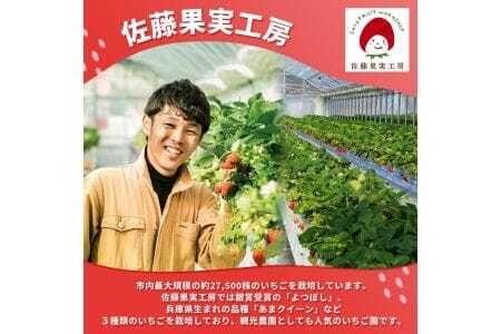 《2026年産先行予約》「西脇市産 佐藤果実工房 あまクイーン」（約270g×２パック 約540g）【佐藤果実工房 全国いちご選手権3年連続上位入賞農園 TVで紹介!】令和８年３月上旬配送分　07-5