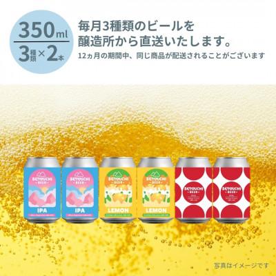 ふるさと納税 高松市 【毎月定期便】SETOUCHI BEER クラフトビール定期便全12回 |  | 01