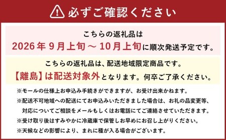 訳あり家庭用シャインマスカット摘み落とし1kg以上 マスカット ぶどう ブドウ 葡萄 グレープ フルーツ 果物 デザート おやつ 種なし 皮ごと 旬 岡山県 美咲町 【2026年9月上旬から10月上旬