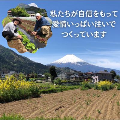 ふるさと納税 西桂町 【訳あり】作って楽しい!食べておいしい!有機栽培で作ったこだわりのポップコーン2袋(1袋100g) |  | 03