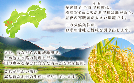 新米＜令和8年産 コシヒカリ 5kg＞国産 愛媛県産 宇和町産 宇和米 こしひかり お米 米 コメ こめ 白米 精米 ご飯 新鮮 5キロ 特産品 大塚農園 愛媛県 西予市【常温】『2026年10月・1