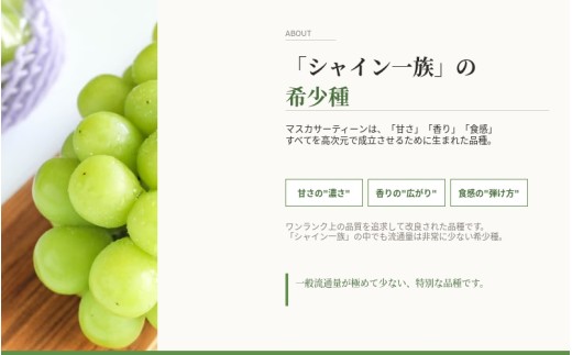 【2026年先行予約】 マスカサーティーン【シャイン一族の希少品種】 2㎏（4房または5房） 高級 シャインマスカット よしだ葡萄園 朝どれ直送【10月上旬～10月下旬頃に順次発送】/ ぶどう シャイ