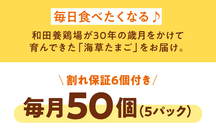【全6回定期便】平飼い 海草たまご 5パック（50個入り）割れ保証あり 愛媛県大洲市/和田養鶏場 卵 たまご 鶏卵 卵料理 玉子 [AGDQ009]