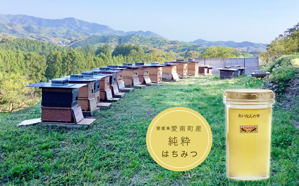 【ふるさと納税】 国産 天然 里山 はちみつ 蜂蜜 250g あいなんの雫 純粋 朝しぼり 濃厚 熟成 贈答 ギフト 瓶 愛南町産 高品質 発送時期:2025年5月〜(なくなり次第終了)