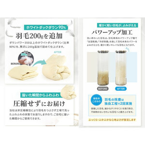 シングル羽毛布団 打直しリフォーム (本掛け) セット [他社製品可 贅沢足し羽毛200g追加]【1506379】
