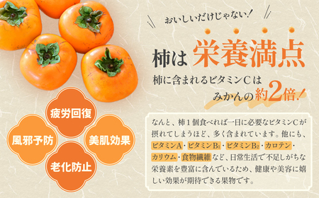 【数量限定】前川次郎柿の干し柿 4個入り×2箱（1粒約80ｇ・個包装）計8個 柿 干し柿 干柿 フルーツ 柿 干し柿 干柿 フルーツ 柿 干し柿 干柿 フルーツ 柿 干し柿 干柿 フルーツ 三重県 多
