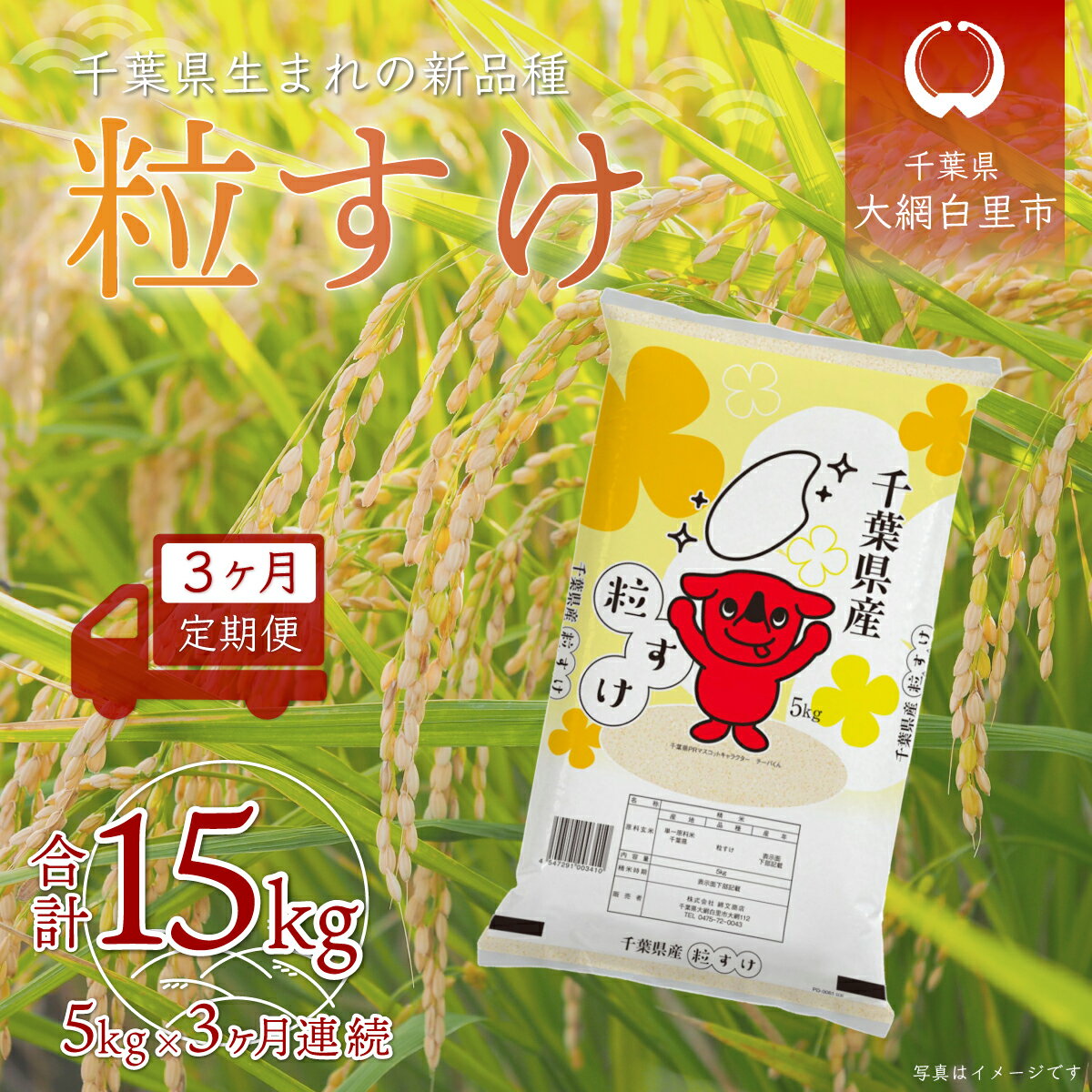 【ふるさと納税】【2025年10月より発送開始】＜3ヶ月定期便＞ 令和7年産 千葉県産「粒すけ」5kg×3ヶ月連続 計15kg ふるさと納税 米 定期便 5kg 3カ月 粒すけ 千葉県 大網白里市 送料無料 A029