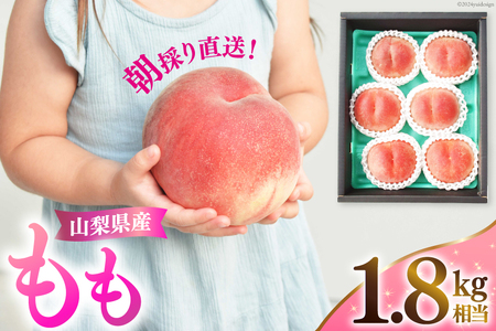 【期間限定発送】 桃 山梨県産 もも 約1.8kg 【朝採り直送】NS-1006 [韮崎翠緑 山梨県 韮崎市 20743936] モモ 果物 くだもの フルーツ 冷蔵 山梨