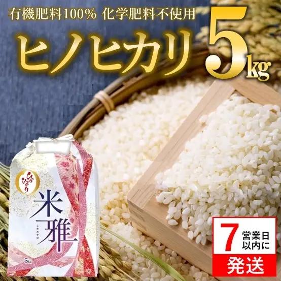 【ふるなび限定】【スピード発送】令和７年産 ヒノヒカリ 5kg 白米 FN-Limited-PR