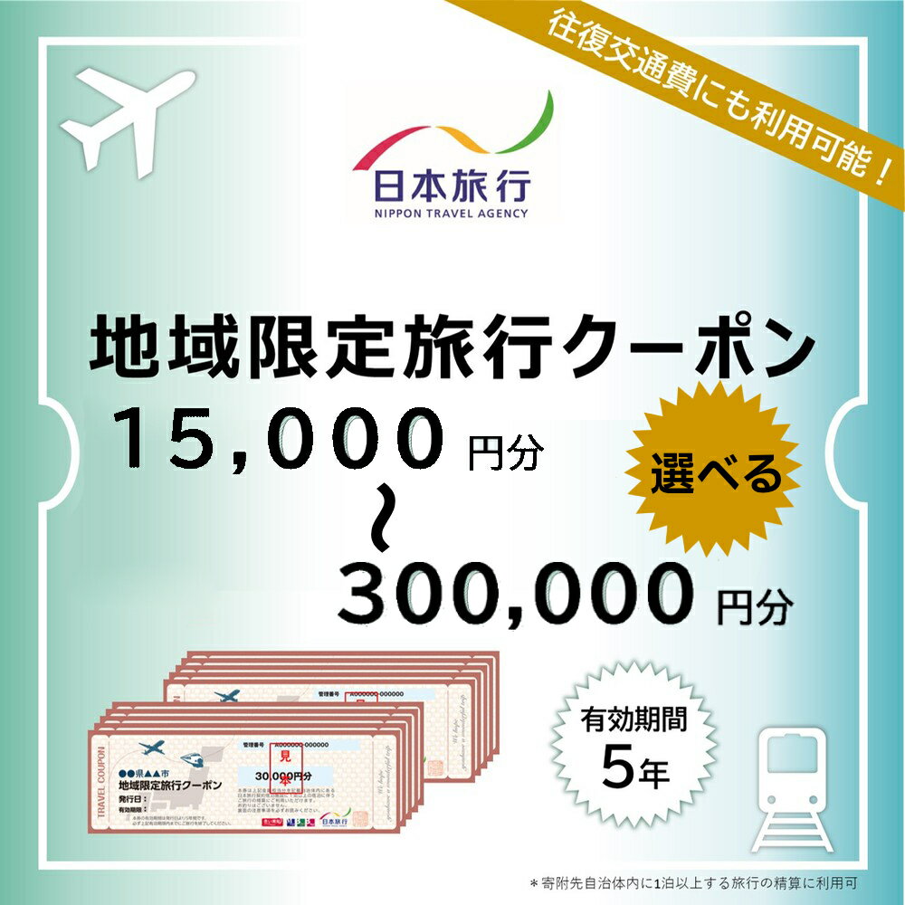 【ふるさと納税】北海道 紋別市 日本旅行 地域限定旅行クーポン 選べる 旅行券 観光地 ガリンコ号 アザラシ 流氷 カニの爪 オホーツク海 旅券 航空券 宿泊券 パックツアー