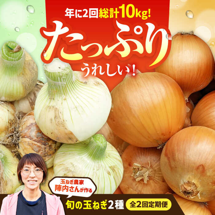 【ふるさと納税】 【2回定期便】 農家直送 玉ねぎ定期便 5kg/回 【玉葱農家 陣内ちひろ】玉葱 たまねぎ 新玉ねぎ タマネギ 佐賀県 白石町 [IAO026]