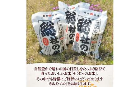 【令和7年産米】特Aきぬむすめ【精白米】30kg 定期便（15kg×2回）岡山県総社市〔令和8年4月・6月配送〕25-060-017