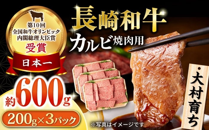 
            大村育ち 長崎和牛 カルビ焼肉セット 600g  / 牛肉 カルビ 焼肉 BBQ / 大村市 / おおむら夢ファームシュシュ [ACAA478]
          
