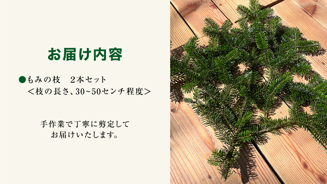 【 12月 発送開始 】 クリスマス に最適! フィノスの森 もみの木の枝 2本セット クリスマス クリスマスツリー もみの木 観葉植物 インテリア 日用品 飾り 数量限定 リース スワッグ  [BI