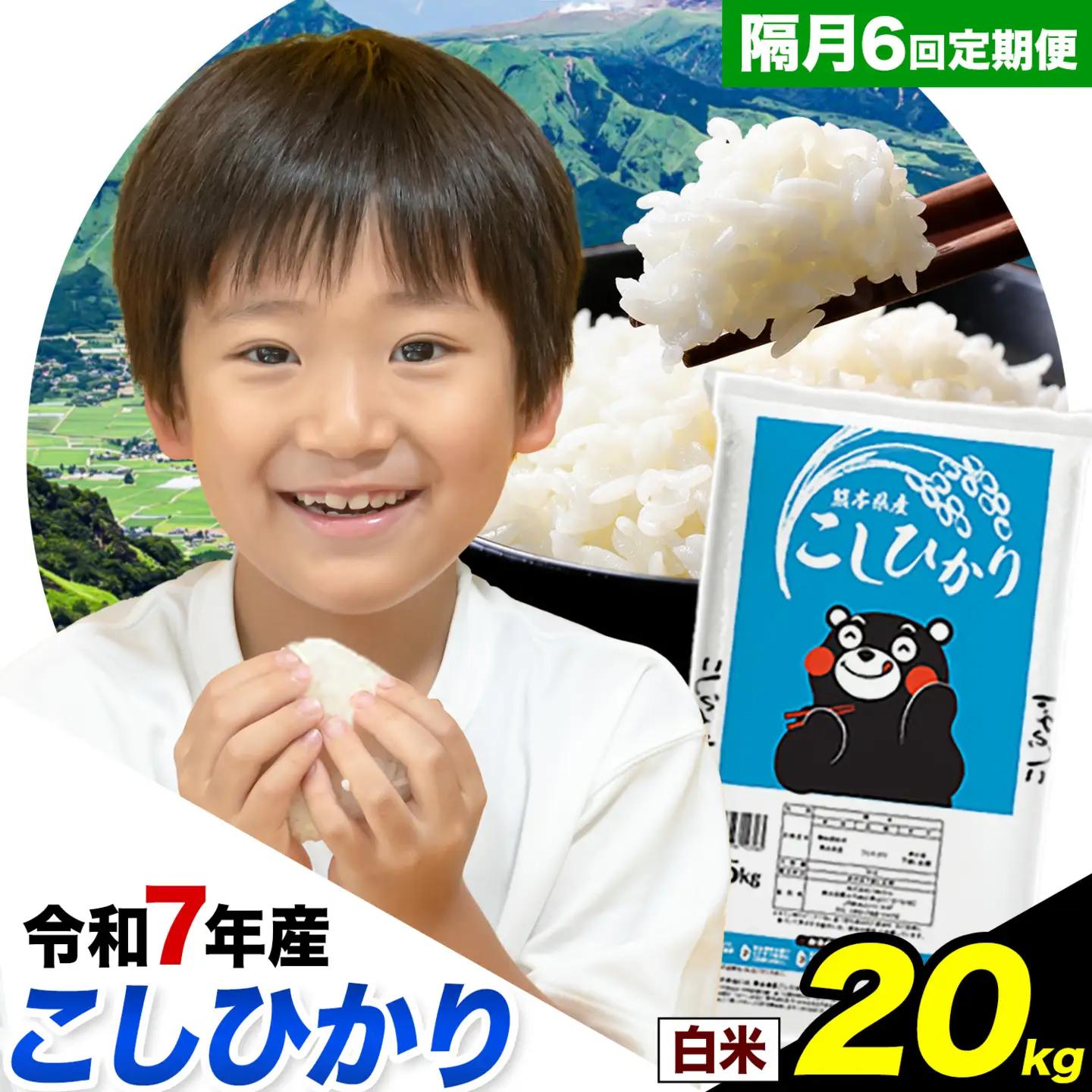 令和7年産 【隔月6回定期便】 こしひかり 20kg 白米 精米 熊本県産(南阿蘇村産含む) 単一原料米 南阿蘇村 産 米 定期便《お申込月の翌月から出荷》