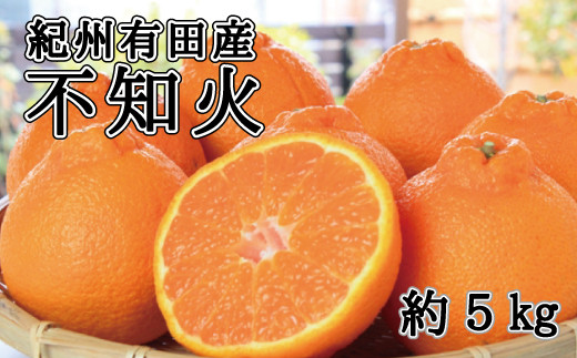 紀州有田産不知火(しらぬひ) 約5kg ＜2025年2月中旬頃～3月上旬頃発送＞（お届け日指定不可）