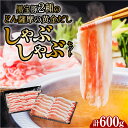 【ふるさと納税】 黒宝豚 2種のどん薩摩の黄金だししゃぶしゃぶセット 計600g 送料無料 豚 豚肉 黒豚 バラ ロース しゃぶしゃぶ 豚しゃぶ 黒宝豚 出汁 だししゃぶしゃぶ 鍋 セット NeverLand 鹿児島市 土産 贈り物 プレゼント ギフト 贈答