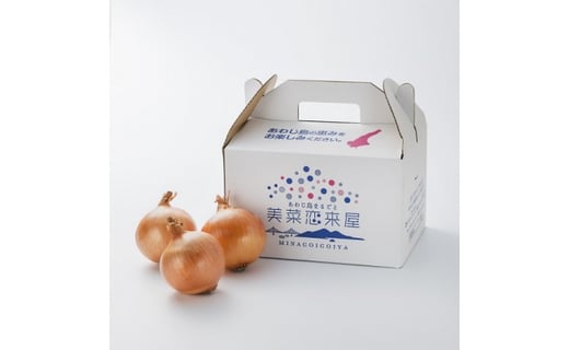 
                  淡路島たまねぎ　10kg箱
                
