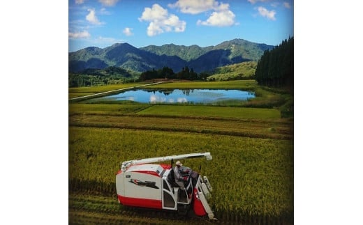 【令和7年産米】【定期便：6ヶ月連続でお届け】新潟県村上市岩船産 棚田米コシヒカリのパックごはん(150g×12個)×6ヶ月 1067133