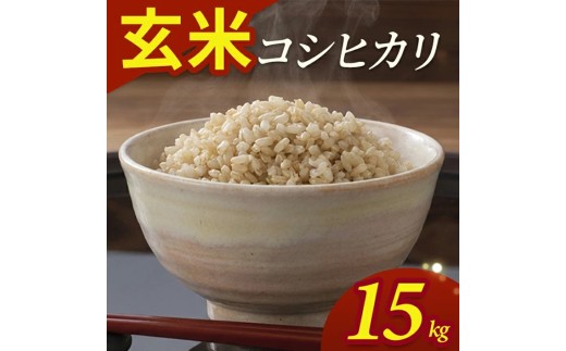 令和7年産【玄米】コシヒカリ　15kg(5kg×3袋) YA SE0552
