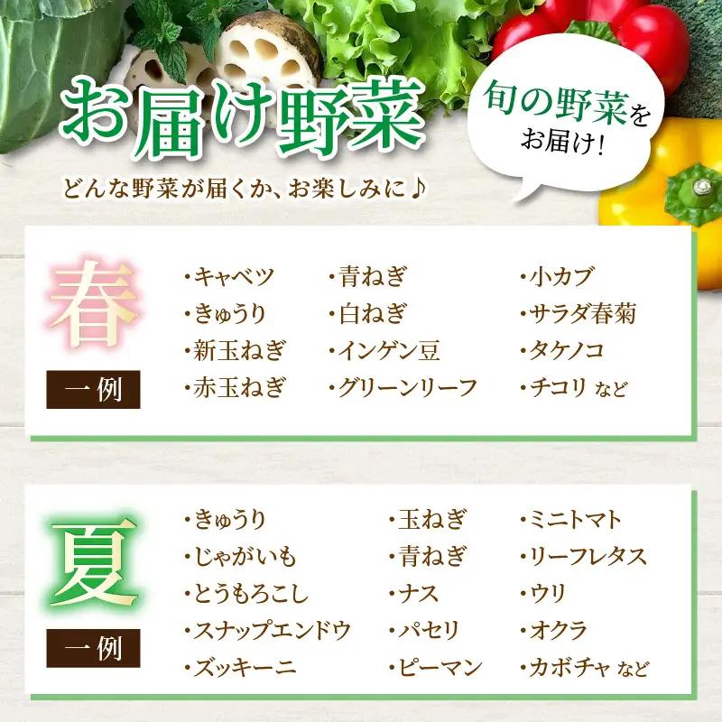 【5営業日発送！】農家直送 旬の野菜セット 7品目以上 1箱 ／ 季節 野菜 ボックス BOX セット セレクト 農家 おまかせ 多品目 旬 詰め合わせ 根菜 葉物 [aw028-a012]