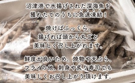 メギス 1kg 2袋 計2kg メギス