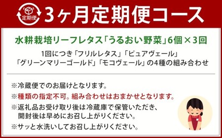 【定期1ヶ月毎3回】水耕栽培 リーフレタス「うるおい野菜」6個セット 野菜 フリルレタス ピュアヴェール グリーンマリーゴールド モコヴェール 定期便 セット 福岡県 北九州市