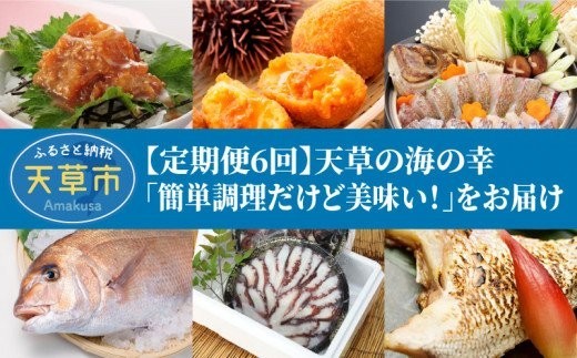 
                  S999-T03_【定期便6回】天草の海の幸「簡単調理だけど美味い！」をお届け
                