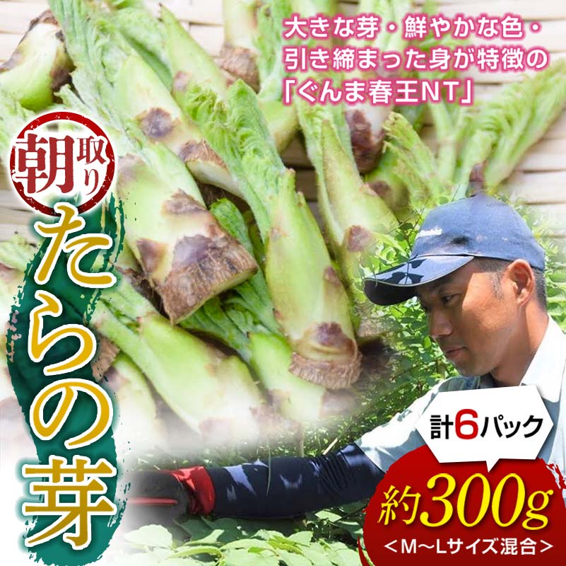 【ふるさと納税】 ≪先行予約≫ 山菜の王様 たらの芽 (300g) （2026年1月より順次発送） たらの芽 タラの芽 ぐんま春王NT 山菜 野菜 食品 F20E-770