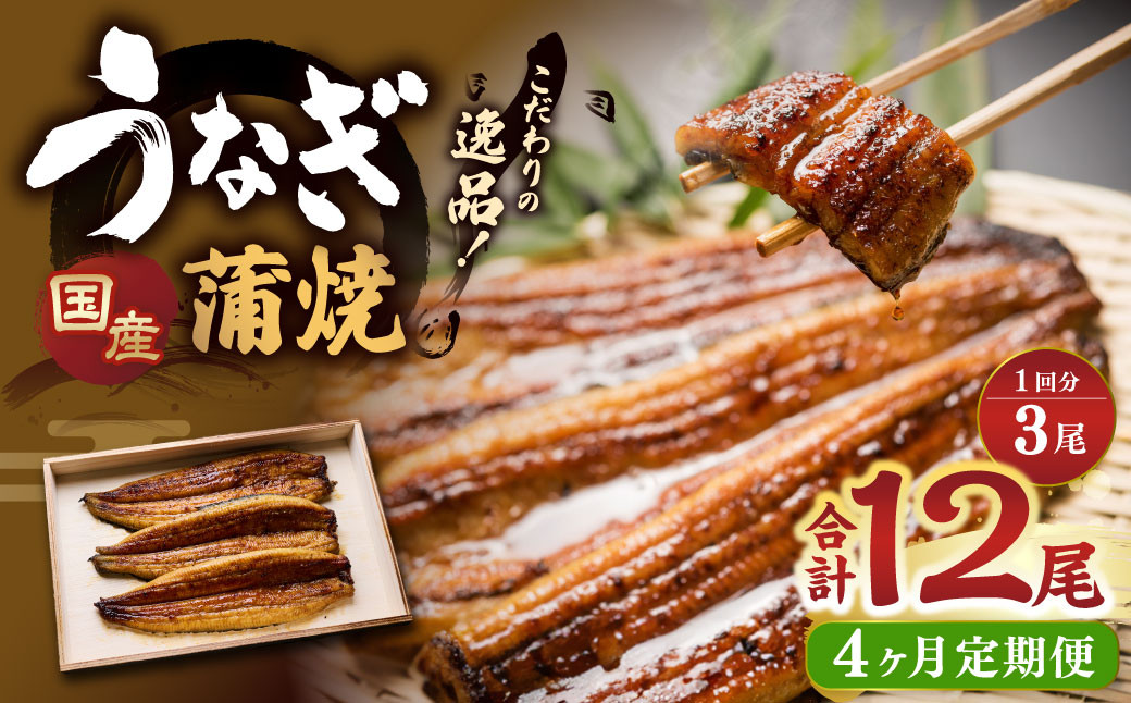 
            【4ヶ月定期便】 蒲焼きうなぎ 3尾 （国産） ／ 鰻 うなぎ ウナギ 蒲焼き 蒲焼 うなぎの蒲焼 鰻の蒲焼き たれ付き 自家製たれ 山椒 冷蔵 国産
          