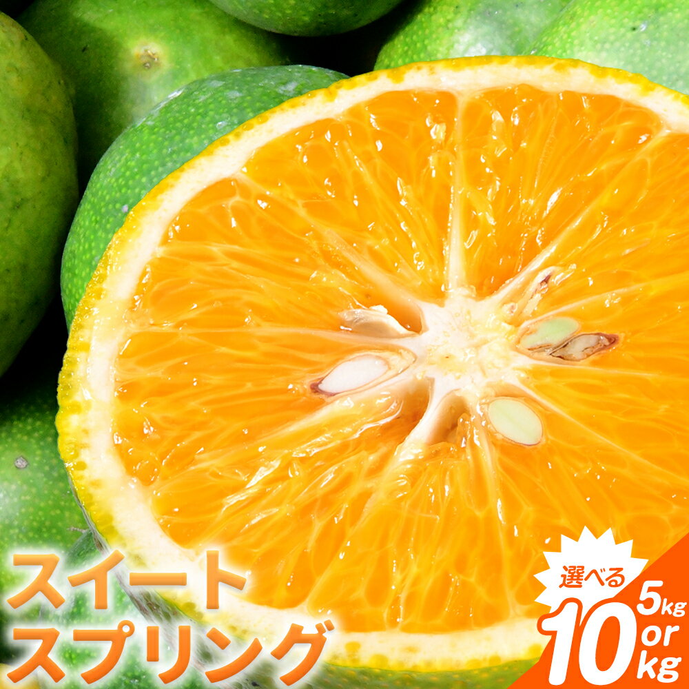 【ふるさと納税】 先行予約 スイートスプリング 約5kg 約10kg 柑橘 かんきつ 果物 フルーツ 品種 生産者直送 産地直送 南国 潮風 天草 西海岸 苓北 都呂々 国産 九州 熊本県 5キロ 10キロ 送料無料《12月上旬-1月下旬頃出荷予定》