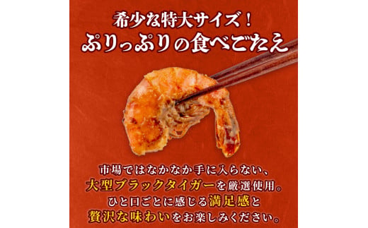むきえび ブラックタイガー 西京漬け 1kg 250g × 4パック 保水材 無添加 冷凍  訳あり エビ 海老 人気  大容量 無保水 むき海老 剥きえび