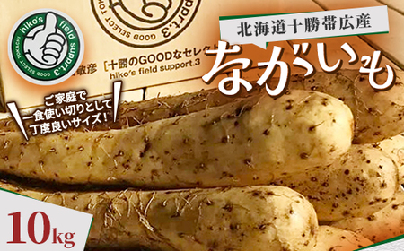 北海道十勝帯広産 ながいも 10kg_野菜  いも イモ 芋_【配送不可地域：離島】【1497185】