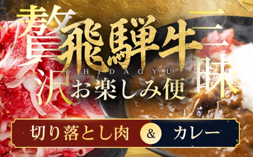【飛騨牛お楽しみ便】飛騨牛 カレー (5袋)  切り落とし肉 お届け便 | 常温 冷凍 配送 訳あり 訳アリ 飛騨牛 肉 牛 ビーフカレー すき焼き すきやき 簡易包装 レトルト ご当地カレー 人気 おすすめ 便利 小分け 飛騨高山 高山ミート ふるさと清見 ZZ024