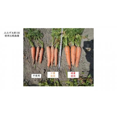 ふるさと納税 小松島市 みみず太郎100 5L  計2.5kg 堆肥 肥料 微生物資材 |  | 01