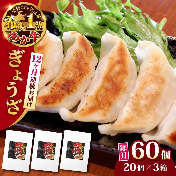 【全12回定期便】熊本県産 あか牛 ぎょうざ 20個×3箱 ぎょうざ[AYCQ091]