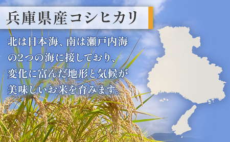 お米 令和6年産 兵庫県産コシヒカリ5kg 3ヶ月定期便 米 お米 新米 こめ コメ 白米 兵庫県 伊丹市