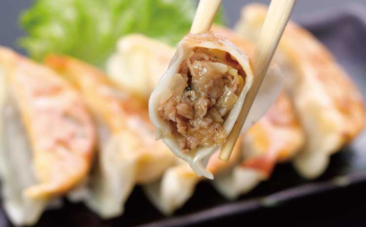  餃子 ぎょうざ ギョーザ あか牛 和牛 牛肉 肉 60個 (20個入×3箱) 熊本 阿蘇 国産 九州 冷凍 惣菜 おかず おつまみ 肉汁 濃厚 旨味 熊本県産 野菜 自社牧場 直送 贅沢 中華 焼く