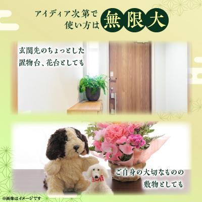 ふるさと納税 碧南市 ミニたたみ(長角大) H100-096 |  | 02
