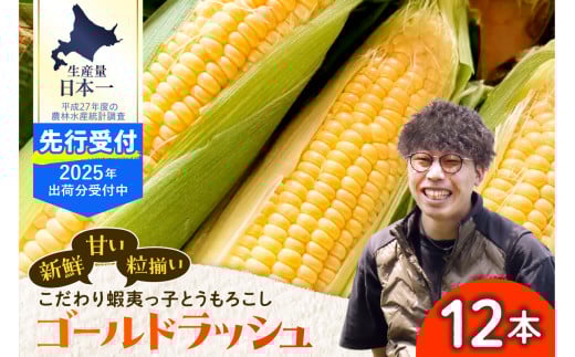 【2025年先行受付】朝採りをお届け！ 北海道十勝芽室町　蝦夷っ子とうもろこし ゴールドラッシュ 12本 me076-009c-25