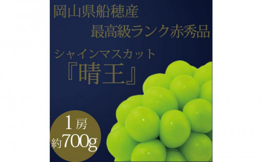 [HS]ぶどう 2025年 先行予約 9月・10月発送 最高級品シャイン マスカット 晴王 1房 約700g ブドウ 葡萄  岡山県産 船穂産 フルーツ 果物 ギフト