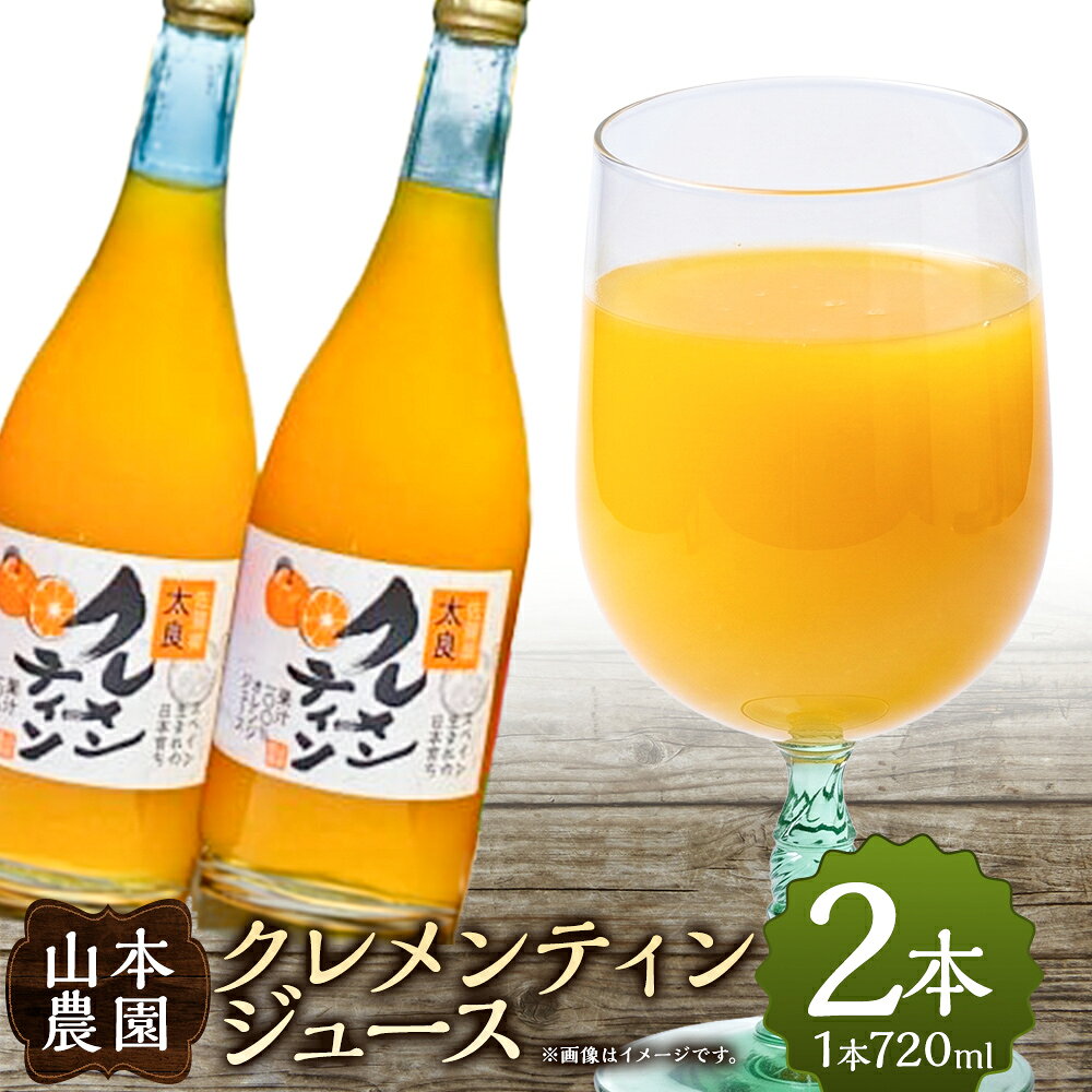【ふるさと納税】山本農園のクレメンティンジュース2本セット 太良みかん ヨーロッパ生まれ スペイン原産 クレメンティン ジュース 720ml 2本 みかんジュース 蜜柑ジュース ジュース 温州 みかん ミカン フルーツ くだもの 果物 ミネラル豊富 太良町 国産 贈答用 NC28x1