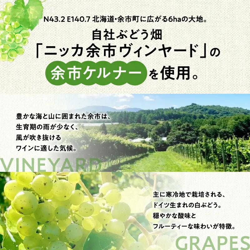 【ふるさと納税】 数量限定 ＆ 北海道限定 N・Y・V （エヌ・ワイ・ブイ） 余市ケルナー 白ワイン 辛口 ニッカ余市ヴィンヤード  贈り物  ギフト  プレゼント _Y090-0014