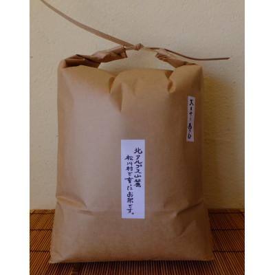 ふるさと納税 松川村 北アルプス山麓で育った　天日干し　朝日　白米10kg(栽培期間中農薬・肥料・除草剤不使用)