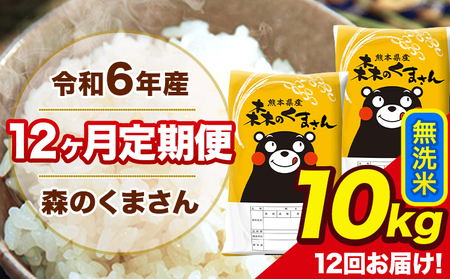 令和6年産 森のくまさん 無洗米 10kg 5kg×2袋 計12回お届け 《お申し込み月の翌月から出荷開始》 お米 こめ 熊本県産 ご飯 備蓄