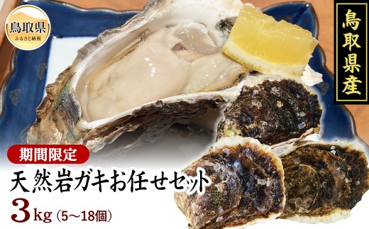 【魚倉】鳥取県産　天然岩ガキお任せセット　3kg（5～18個）【期間限定】_T2600170