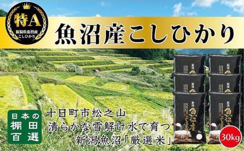 【令和7年産新米予約】【食味鑑定士厳選】日本棚田百選のお米　天空の里 魚沼産 こしひかり 30kg(5kg×6)