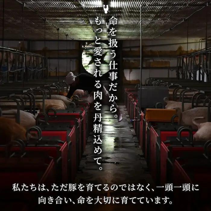 【希少豚使用】素材の旨みを引き出した あかぶた みそ漬け 1.75kg (250g×7パック) 豚肉 真空パック 冷凍