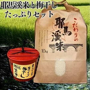 耶馬溪米と梅干したっぷりセット 米10kg 昔ながらの手づくり梅干し1.3kg | お米 米 おこめ こめ 白米 精米 耶馬渓米 ご飯 ごはん 梅干し 梅 手作り セット 大分県 中津市